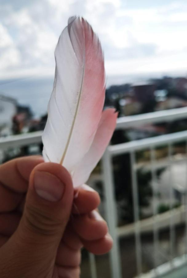 Em Apartments Ulcinj Kültér fotó